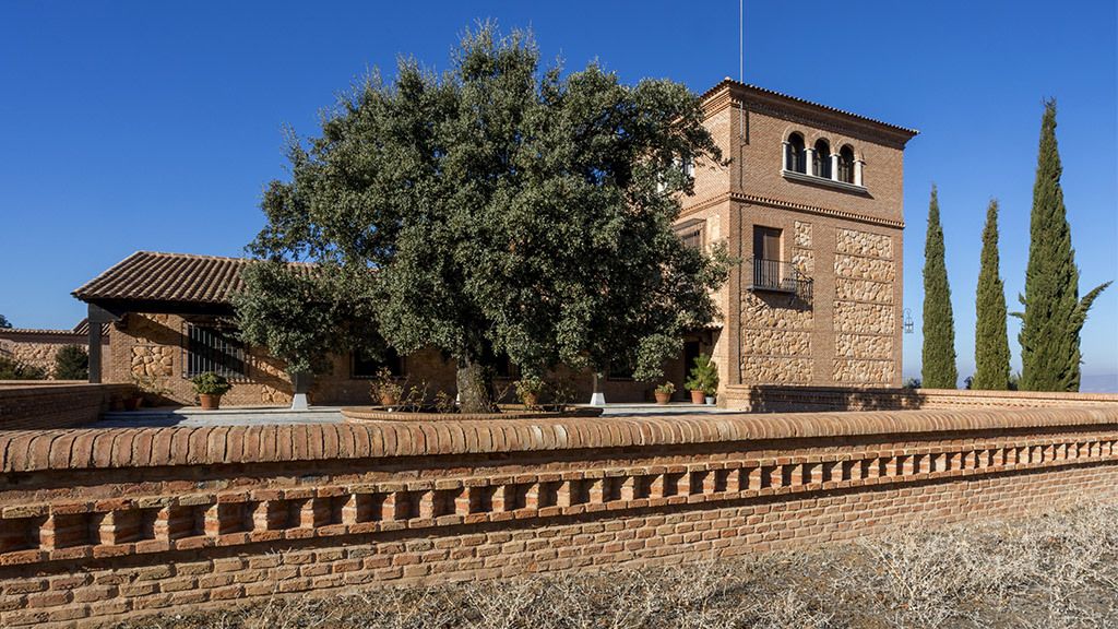 Finca Cinegética con Olivar y Viñedo en Toledo - GILMAR ...